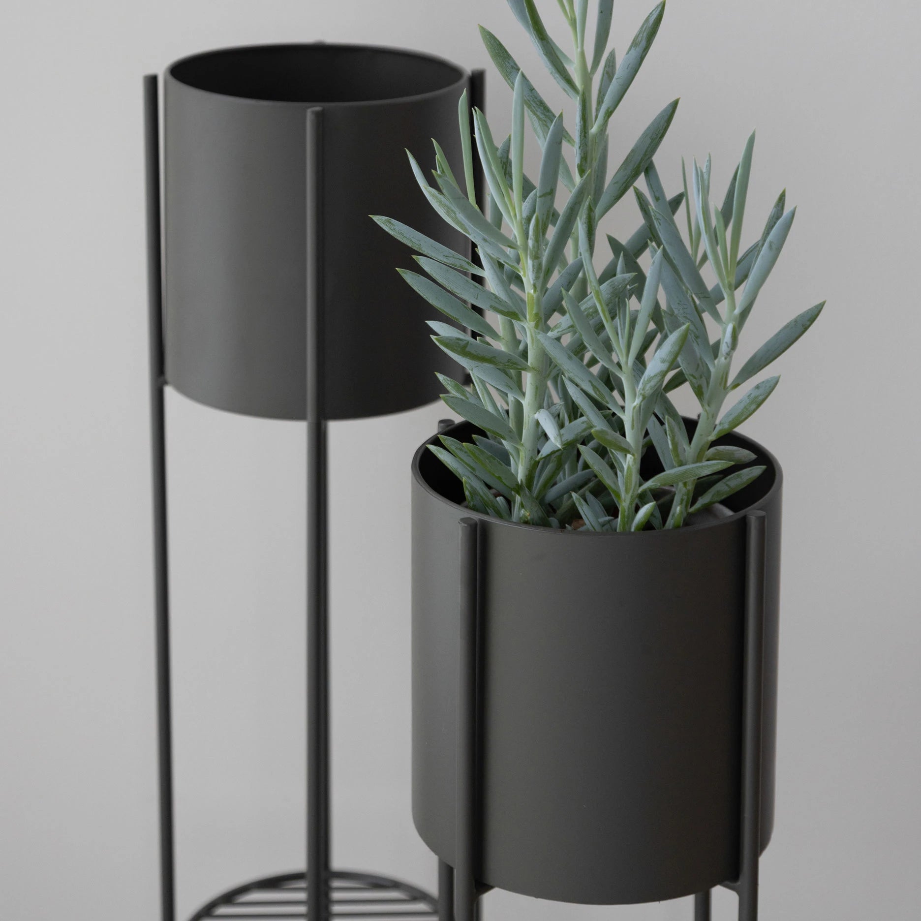 Viola Blumentopfständer H 75 cm Grau